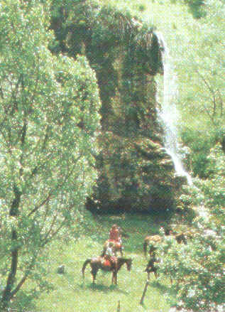 Cavallo_2.bmp (417982 byte)
